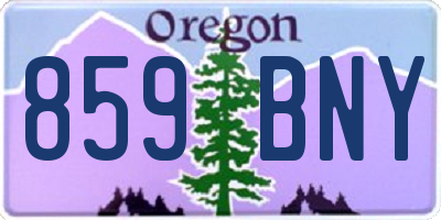 OR license plate 859BNY