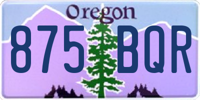 OR license plate 875BQR