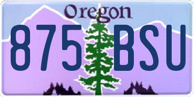 OR license plate 875BSU