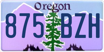OR license plate 875BZH