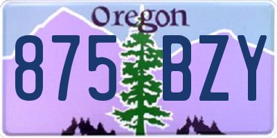 OR license plate 875BZY