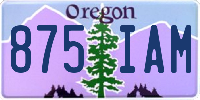 OR license plate 875IAM