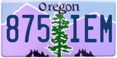 OR license plate 875IEM
