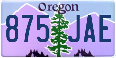 OR license plate 875JAE