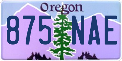 OR license plate 875NAE