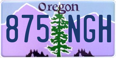 OR license plate 875NGH