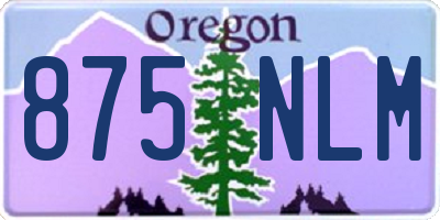 OR license plate 875NLM