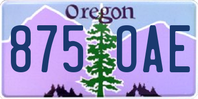 OR license plate 875OAE