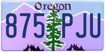 OR license plate 875PJU