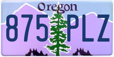 OR license plate 875PLZ