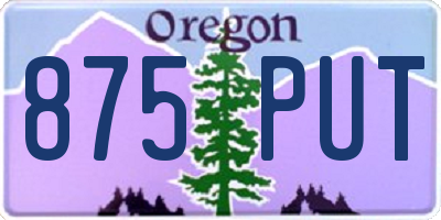OR license plate 875PUT
