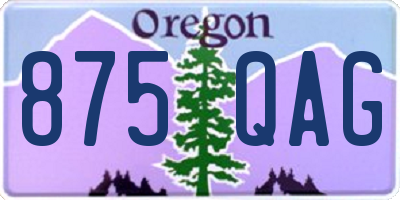 OR license plate 875QAG