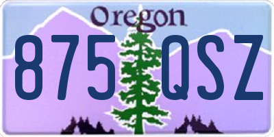 OR license plate 875QSZ