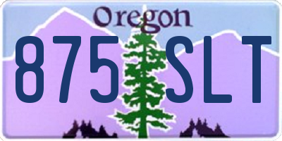 OR license plate 875SLT