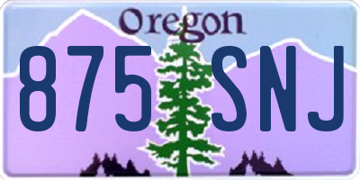 OR license plate 875SNJ