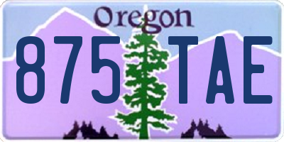 OR license plate 875TAE