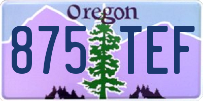OR license plate 875TEF