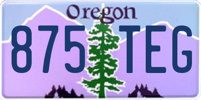 OR license plate 875TEG