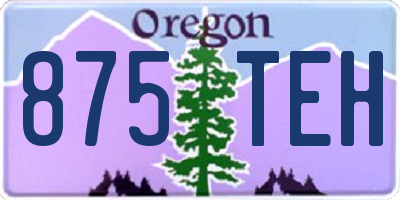 OR license plate 875TEH