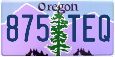 OR license plate 875TEQ