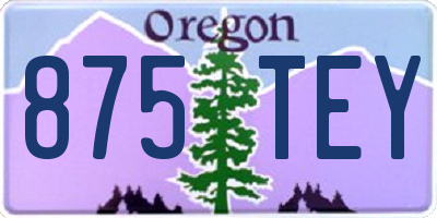 OR license plate 875TEY