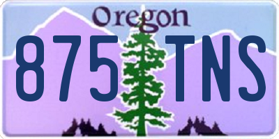 OR license plate 875TNS