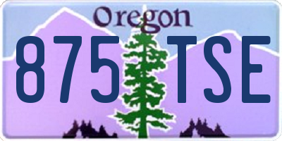 OR license plate 875TSE