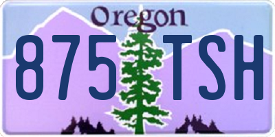 OR license plate 875TSH