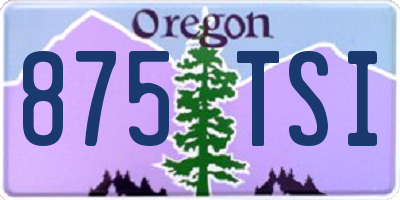 OR license plate 875TSI