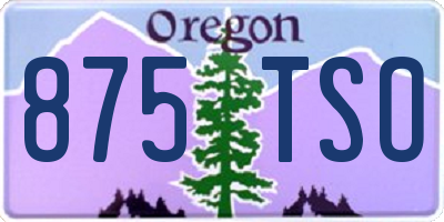 OR license plate 875TSO