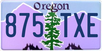 OR license plate 875TXE