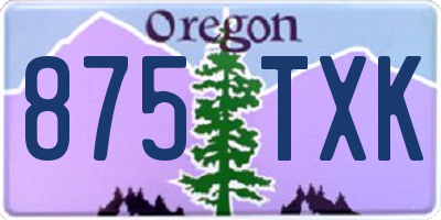 OR license plate 875TXK
