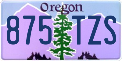 OR license plate 875TZS