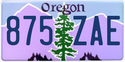 OR license plate 875ZAE