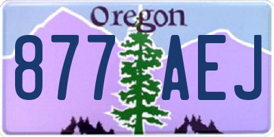 OR license plate 877AEJ