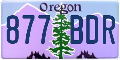 OR license plate 877BDR