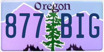 OR license plate 877BIG