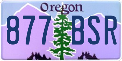 OR license plate 877BSR