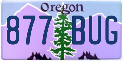 OR license plate 877BUG