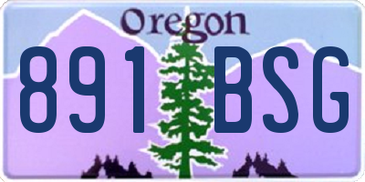 OR license plate 891BSG