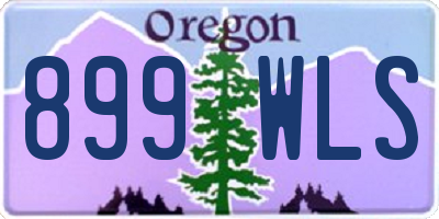 OR license plate 899WLS
