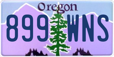 OR license plate 899WNS