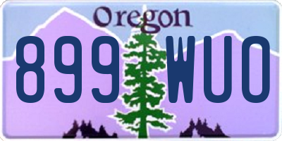 OR license plate 899WUO