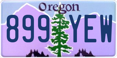 OR license plate 899YEW