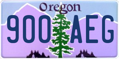 OR license plate 900AEG