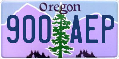 OR license plate 900AEP
