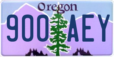 OR license plate 900AEY