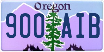 OR license plate 900AIB