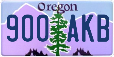 OR license plate 900AKB