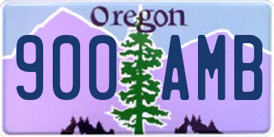 OR license plate 900AMB